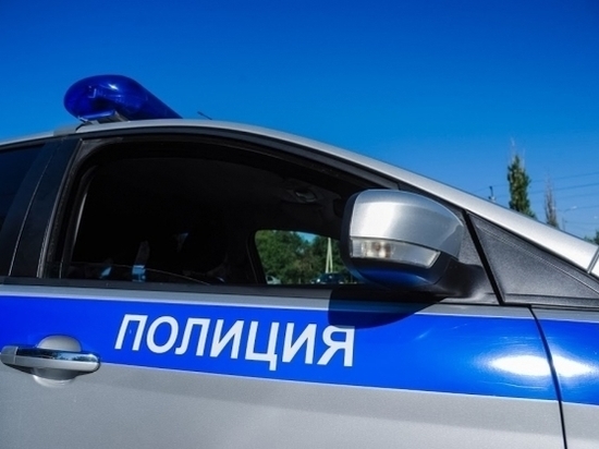 186 рогов сайгака изъяли у астраханца на въезде в Волгоградскую область