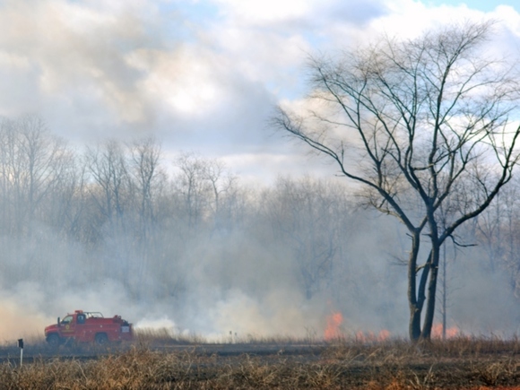 Число пострадавших от пожаров в Забайкалье превысило 700 человек - «Новости дня»
