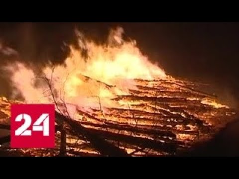 Причиной пожара в "Лосином острове" мог быть поджог - Россия 24 - (видео)