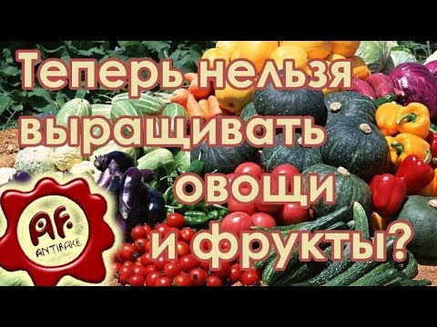 С 8 апреля на участках ИЖС нельзя выращивать овощи и фрукты? - (видео)