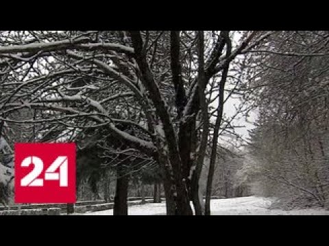 Сразу в нескольких регионах Сибири объявлено штормовое предупреждение - Россия 24 - (видео)
