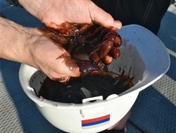 В Европе пожаловались на некачественную нефть из России - «Новости дня»