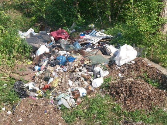 В Тутаевском районе обнаружили несанкционированную свалку