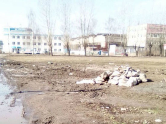В Ярославле отходы скотобойни свалили у жилых домов