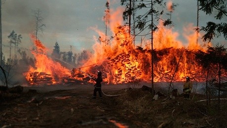 Вопрос дня: кто устроил пожар в национальном парке «Лосиный остров»? - «Здоровье»