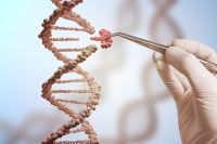 Зачем учёным искусственная ДНК? | Наука | Общество - «Происшествия»