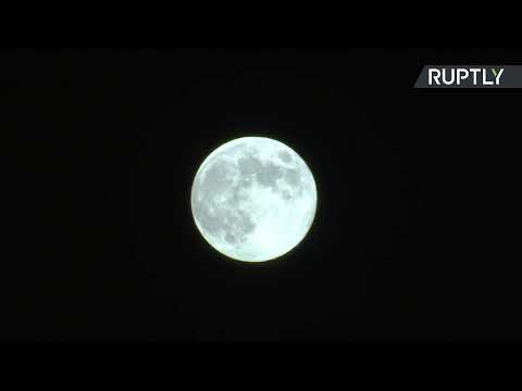 «Голубая луна» — LIVE - (видео)