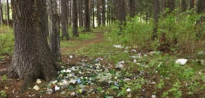Что происходит в лесу в мае. Ревда лес. Картинка валяющихся пакетов и бутылок на улице в РФ В парках.