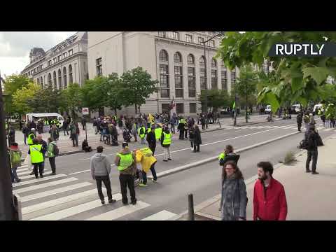 «Жёлтые жилеты» вышли на 26-ю акцию протеста в Париже — LIVE - (видео)