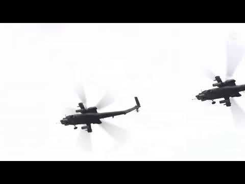 Авиашоу в Кубинке в последний день военной выставки "Армия-2019" - (видео)