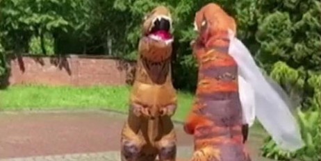 Молодожены пришли в ЗАГС в костюмах тираннозавров (видео) - «Общество»