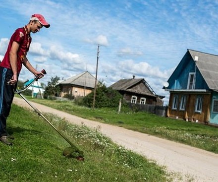 Россиян могут лишить земельных участков за мусор и сорняки - «Происшествия»