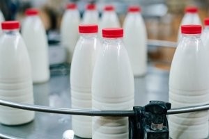 Украинцы могут остаться без молока - «Здоровье»