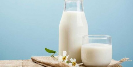 Украинские предприниматели стали меньше производить молока - «Происшествия»