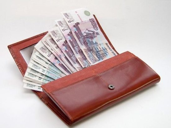 Ярославна пойдет под суд за кражу кошелька с крупной суммой денег