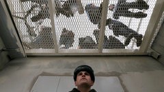 Бывший заключенный отсудил у Минфина 300 тысяч рублей - «Новости дня»
