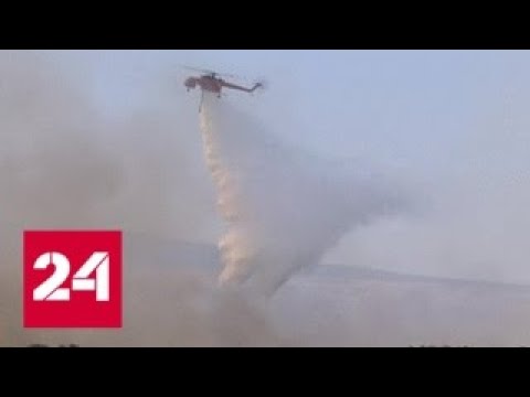 Греческий остров Эвбея захвачен мощным лесным пожаром - Россия 24 - (видео)
