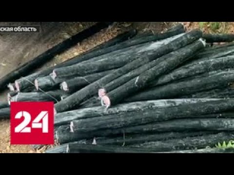 Как продать ворованный кабель: эксперимент "Дежурной части" - Россия 24 - (видео)