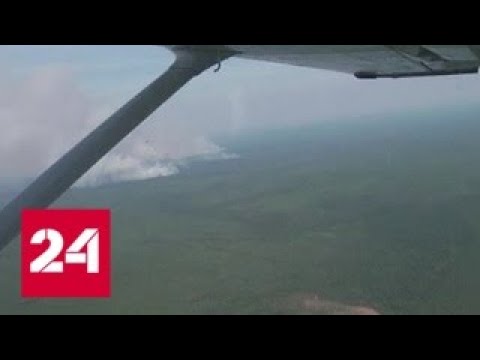 Красноярские леса продолжают гореть - Россия 24 - (видео)
