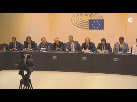 Медведчук в Европейском Парламенте представляет мирный план развития Донбасса - (видео)