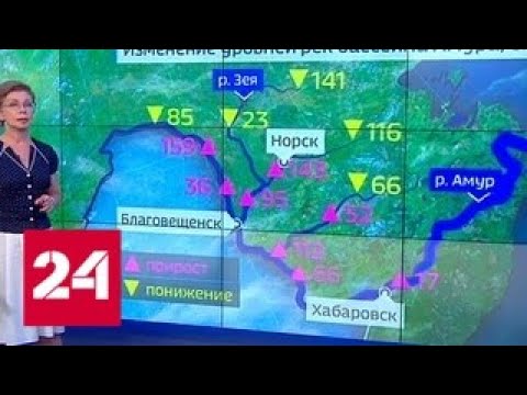 "Погода 24": паводок в Амурской области в ближайшее время может добраться до крупных городов - Рос… - (видео)