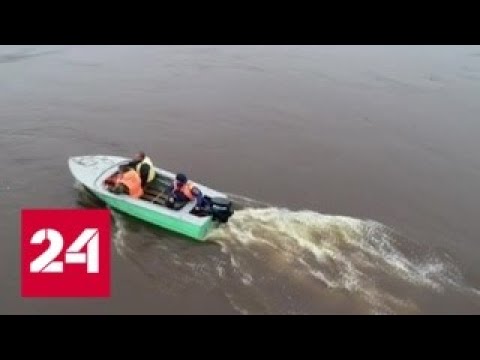 Уровень рек в Амурской области приближается к критической отметке - Россия 24 - (видео)
