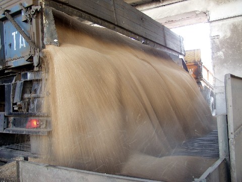 В российском госфонде выявлена недостача почти на 16 тыс. тонн зерна - «Экономика»